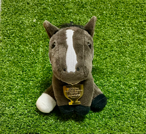 cororoのアイコン