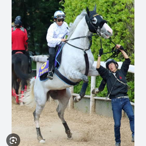 大将のアイコン