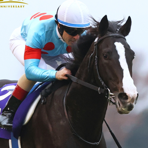 EquinoxIIのアイコン