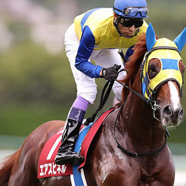 ターボーのアイコン