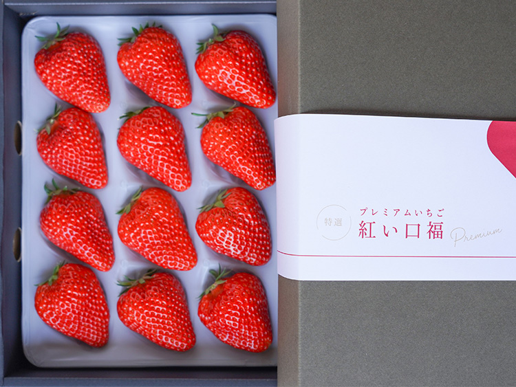紅い口福（あかいこうふく）」| 期間限定 特選 プレミアムいちご 大粒