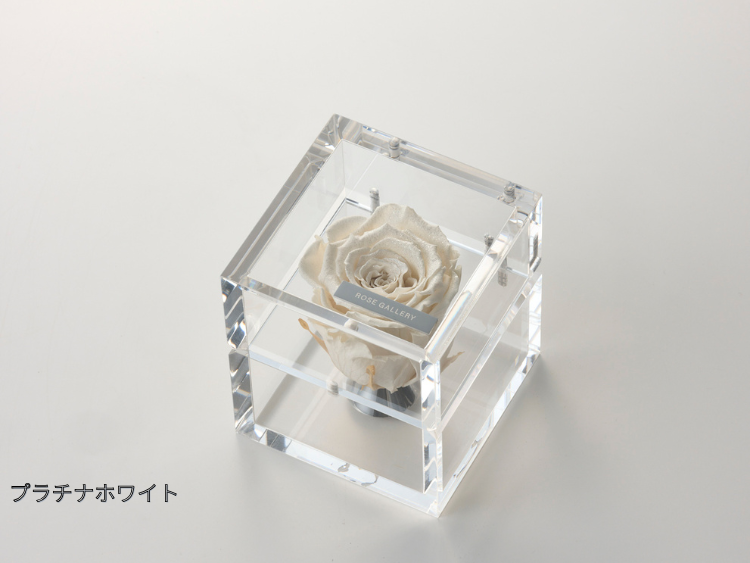 ROSE ローズギャラリー ミュゼ アクリル ダイヤモンドローズ 2個セット