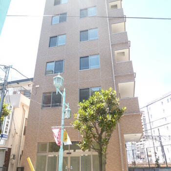 ヤマヨビル