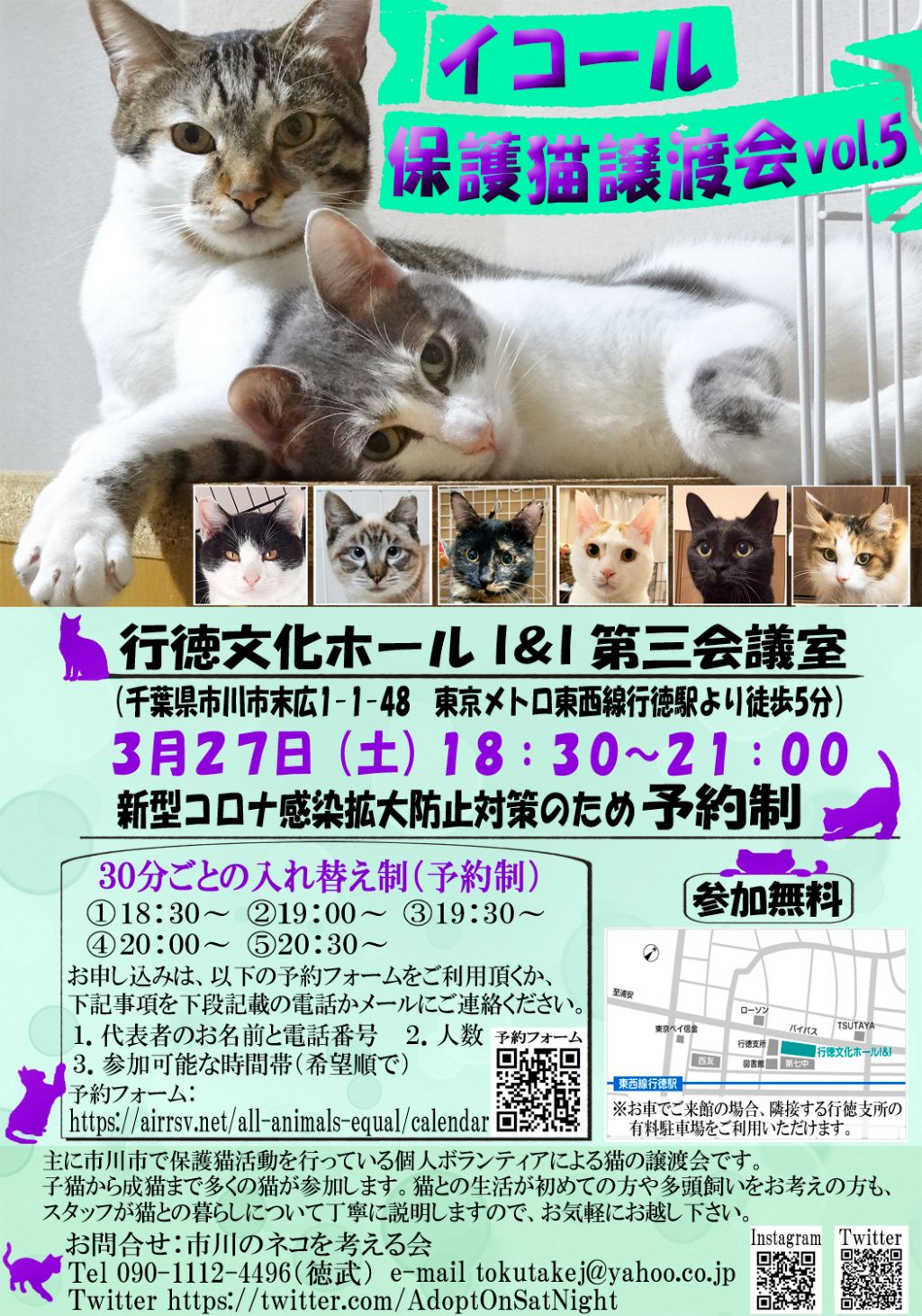 千葉 保護 猫 子犬子猫の里親募集【毎日面会可】