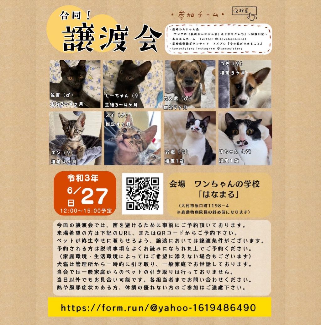 譲渡会  長崎わんにゃん会  保護犬・保護猫の里親募集サイトなら 