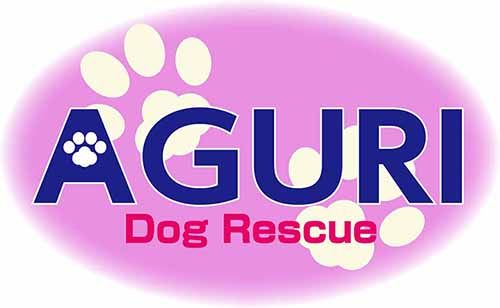 Group Logo
