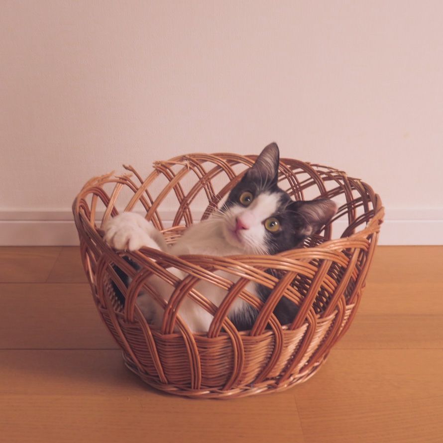 image-5