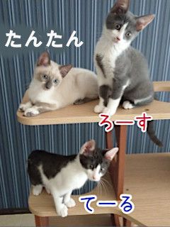 image-5