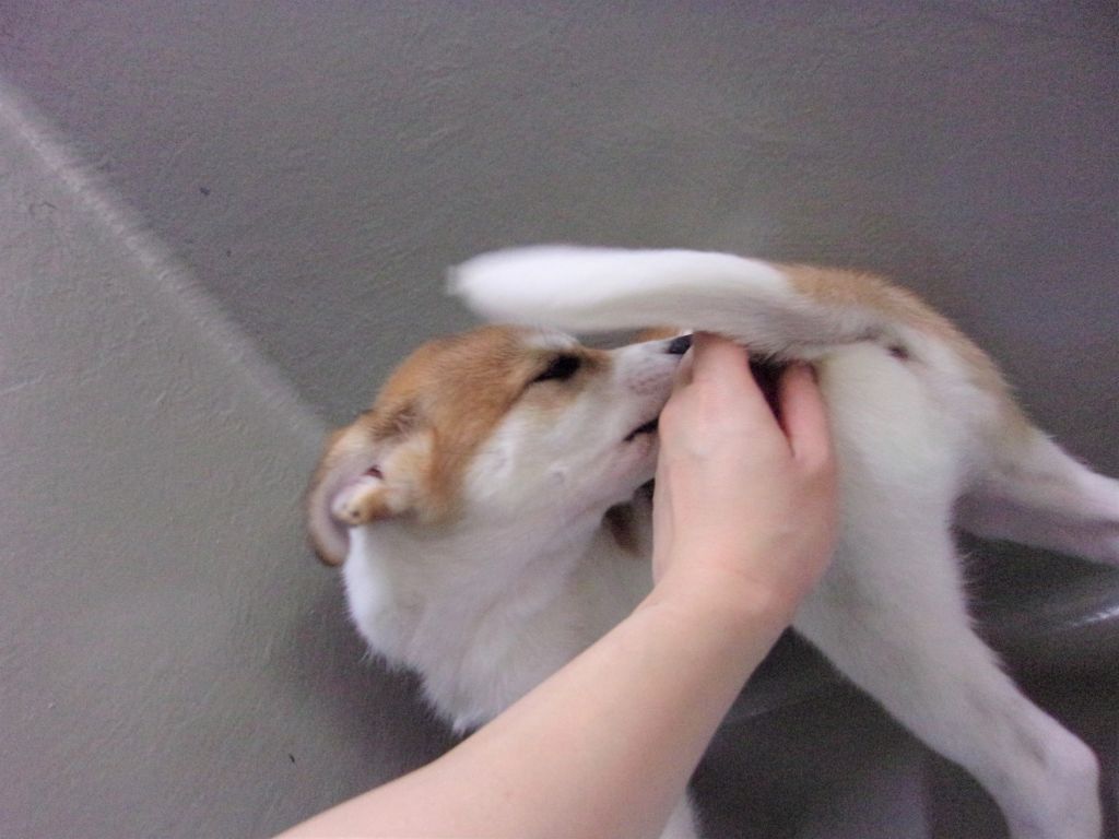 image-6