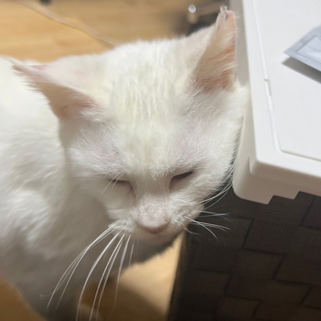 image-8