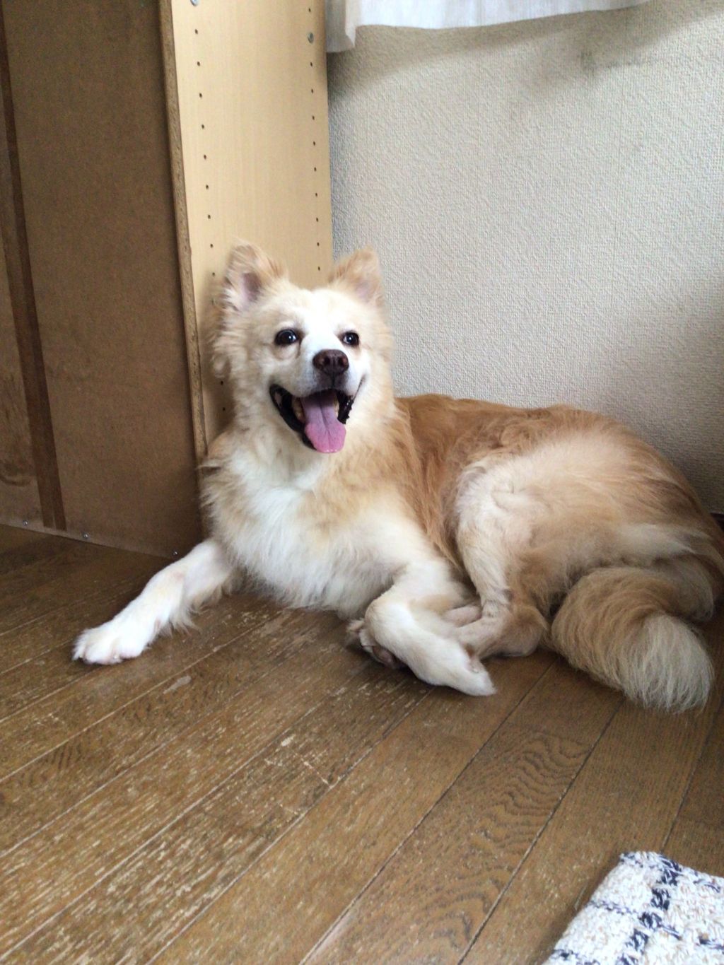 image-4