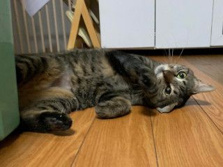 image-5