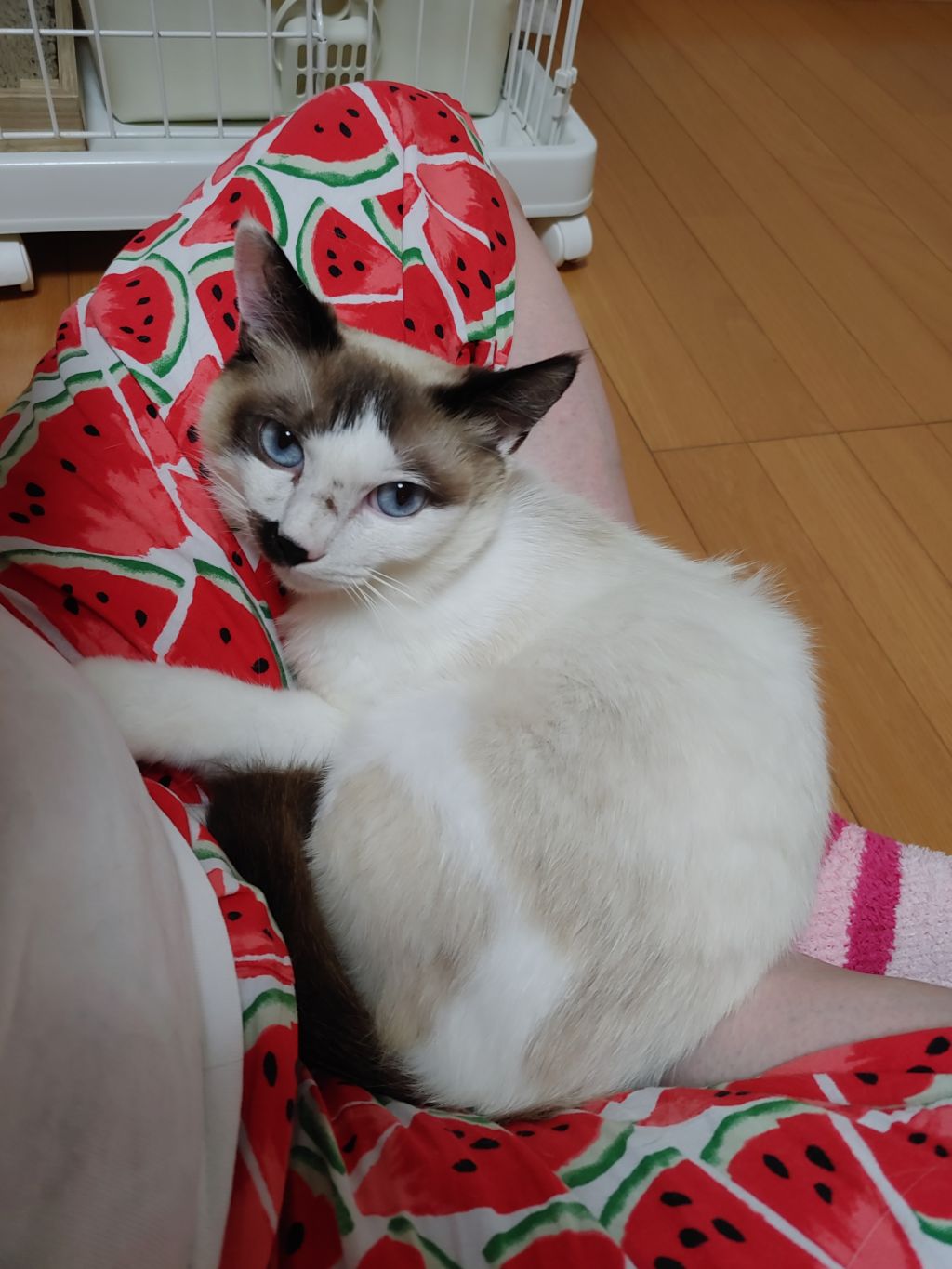 image-6