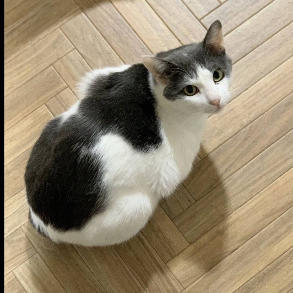 image-6