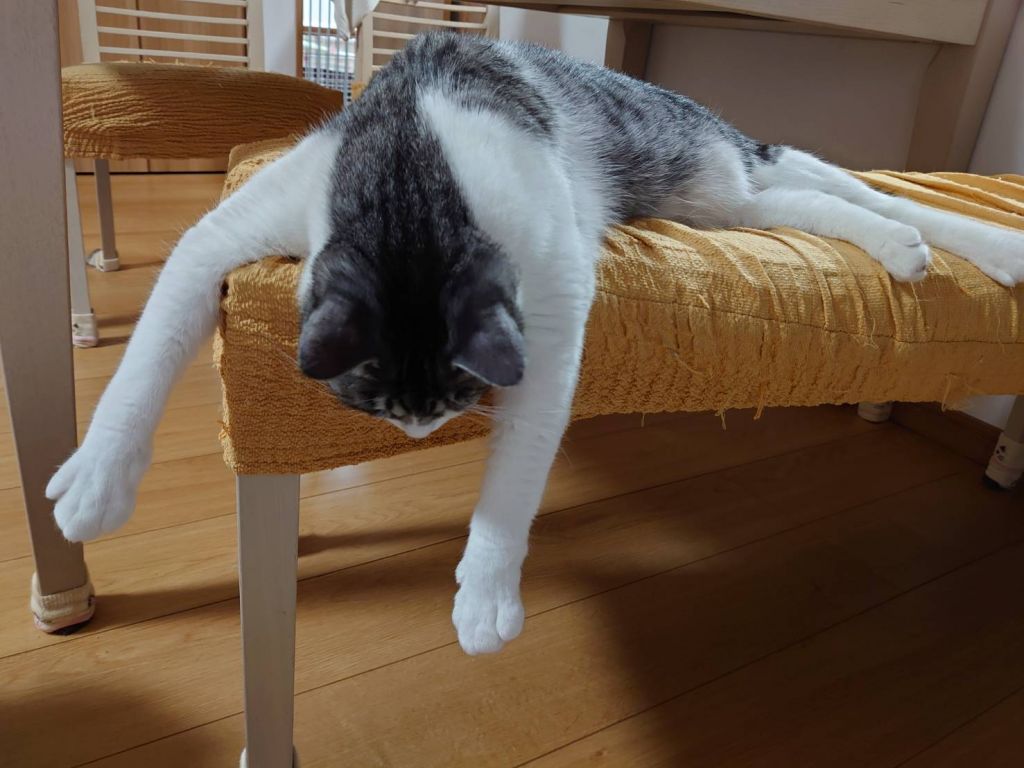 image-4