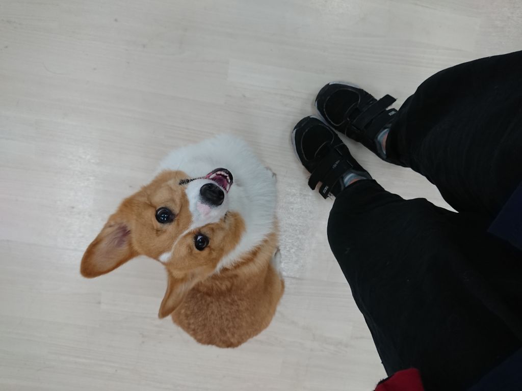 image-8