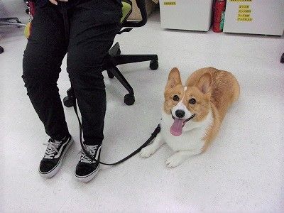 image-7