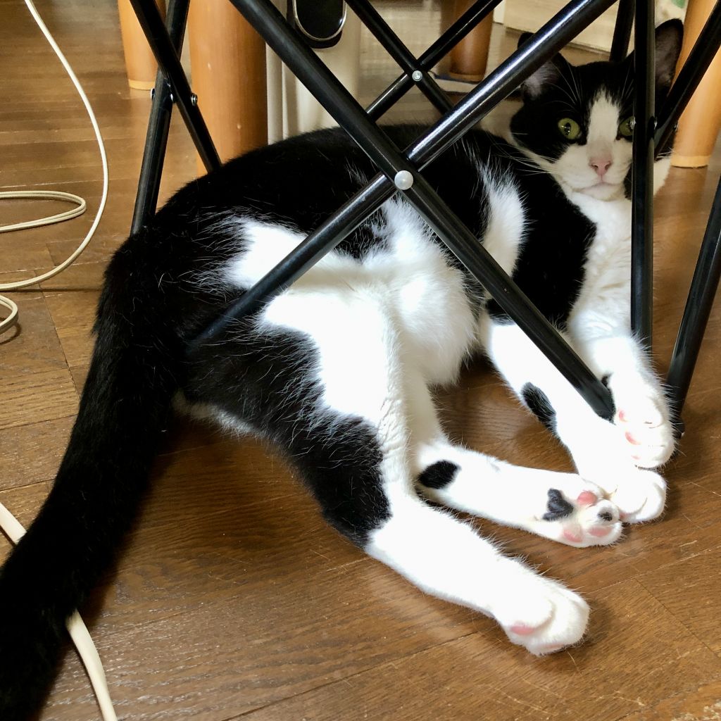 image-5