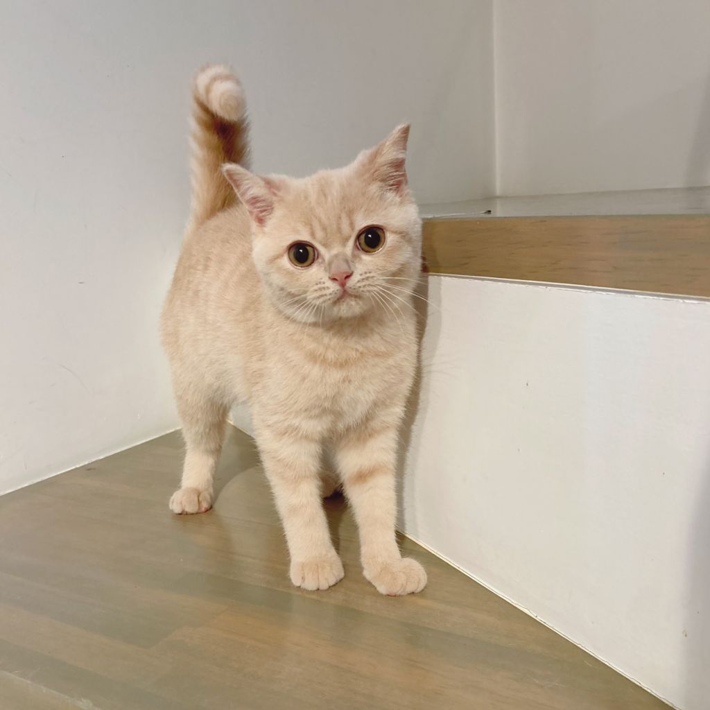 image-5