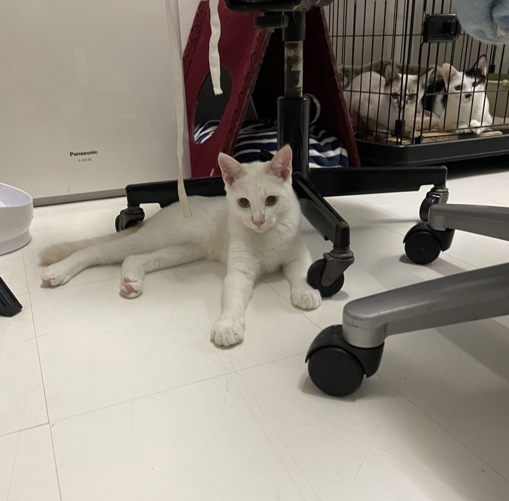 image-6