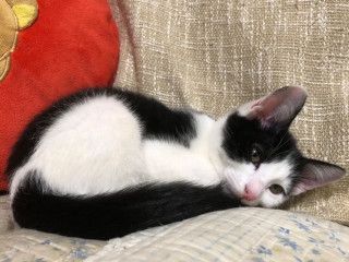 image-4