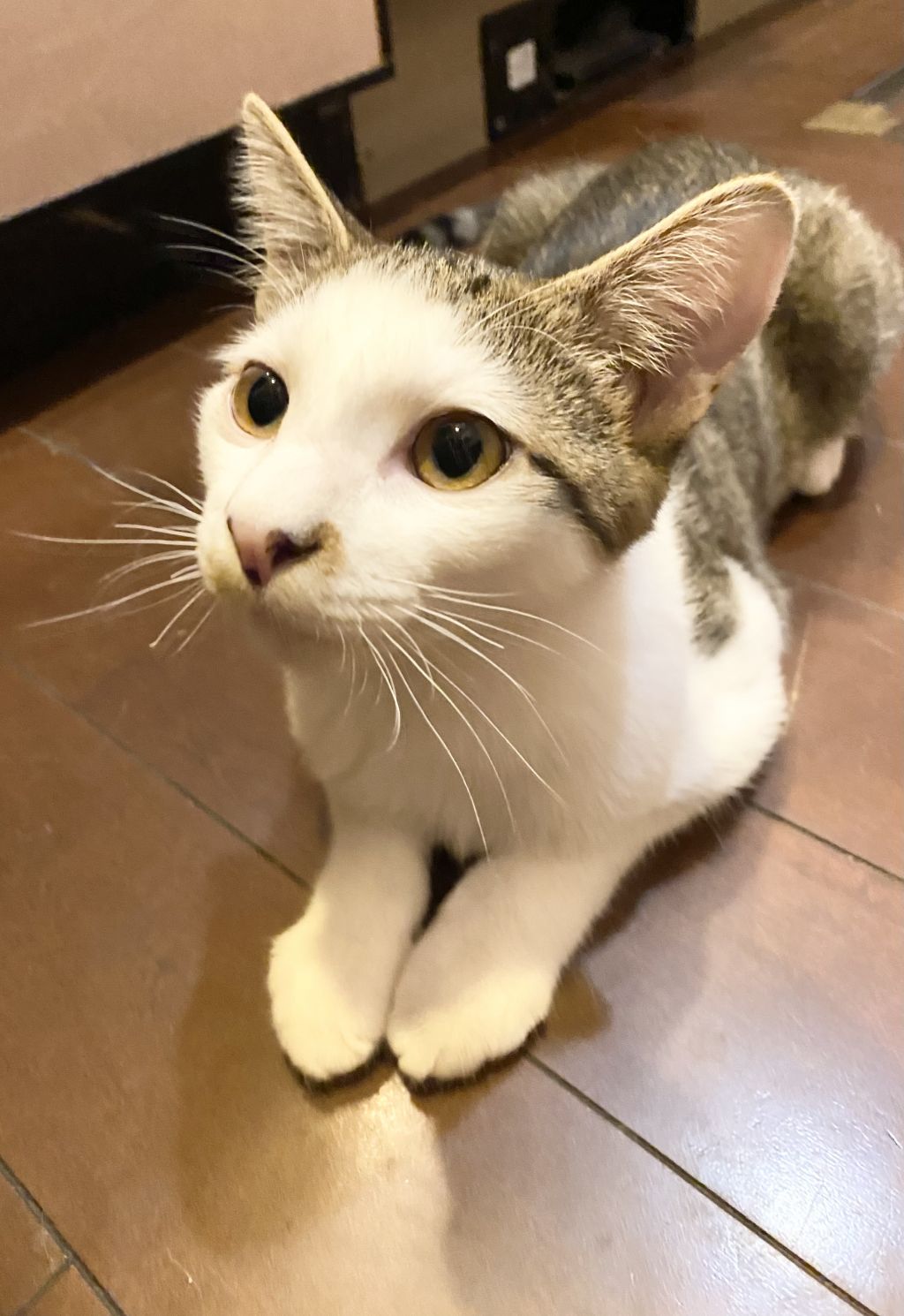 ひろし