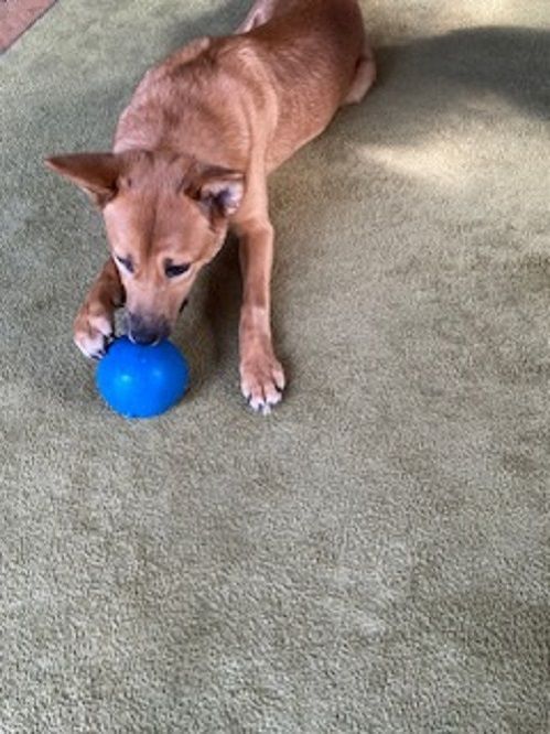 image-6