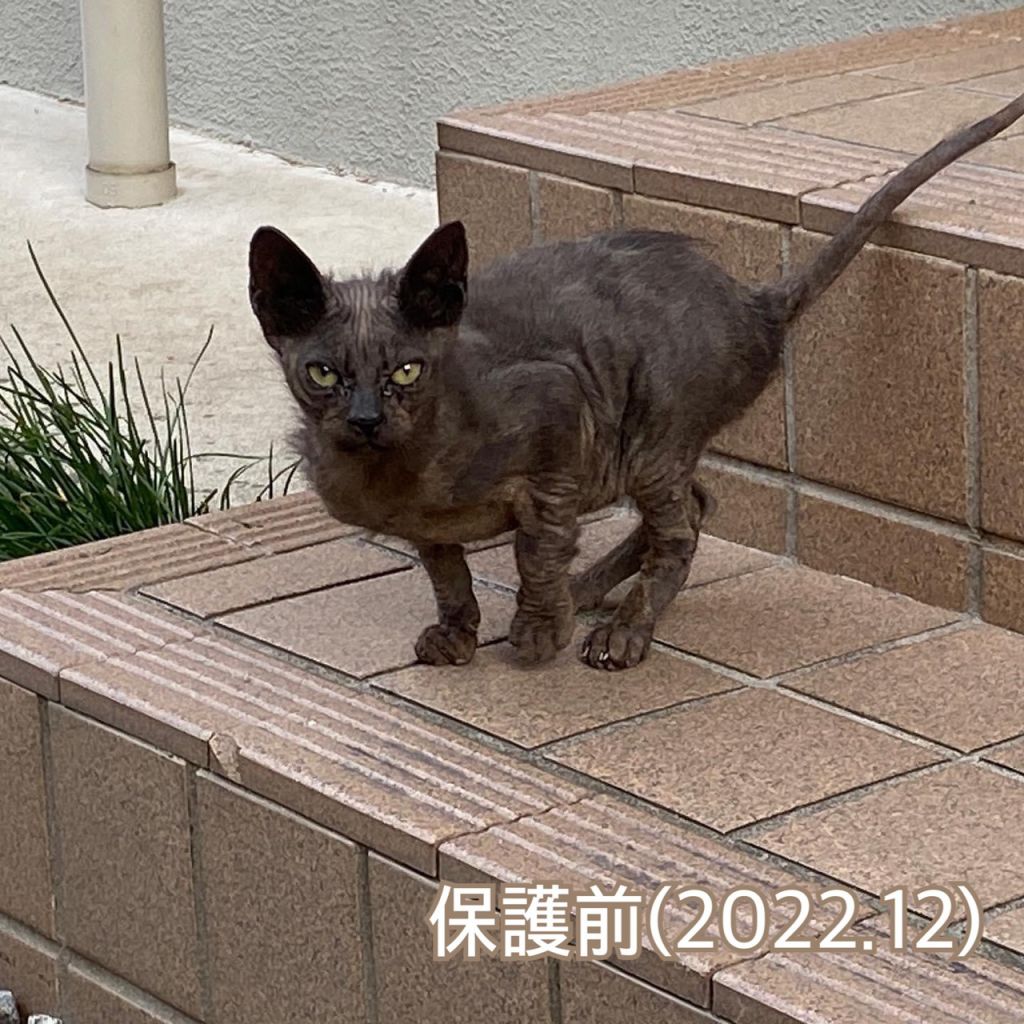 image-5
