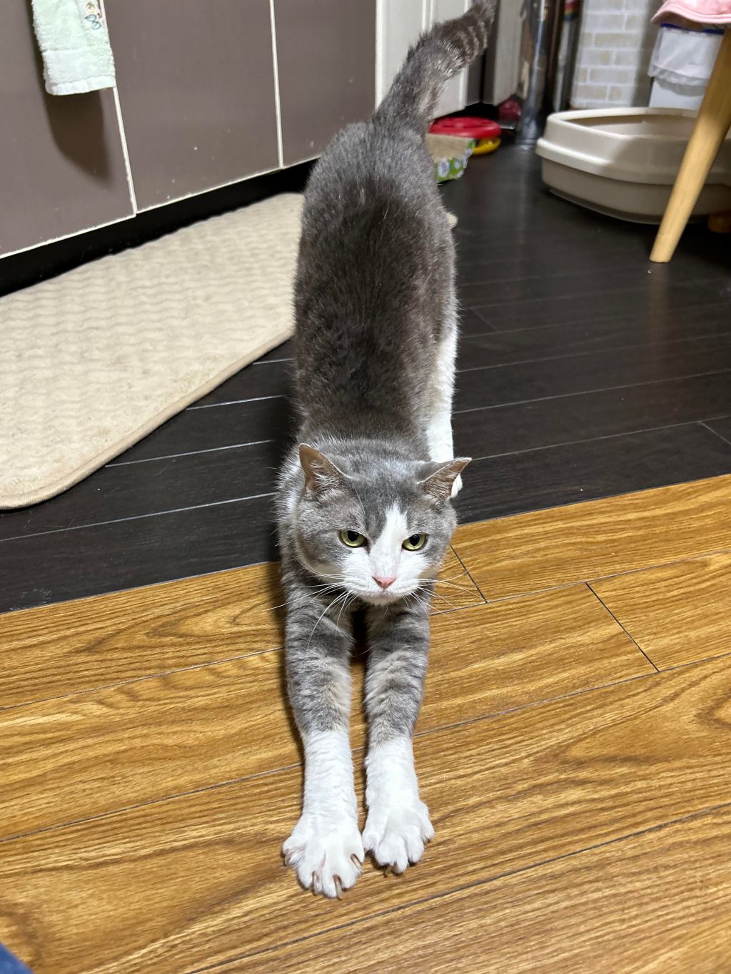 image-9