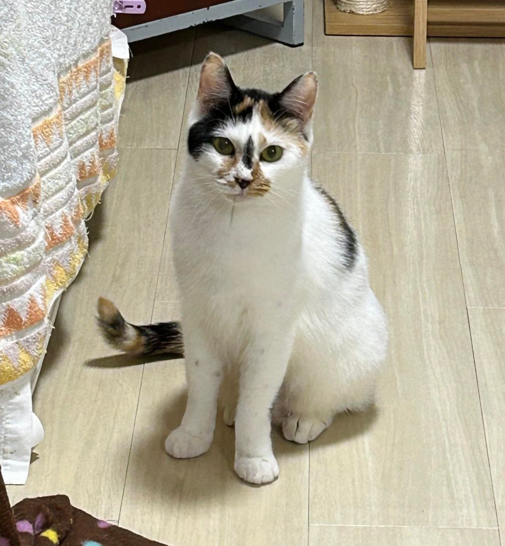 image-3