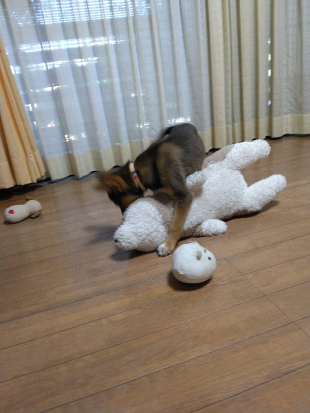 image-8