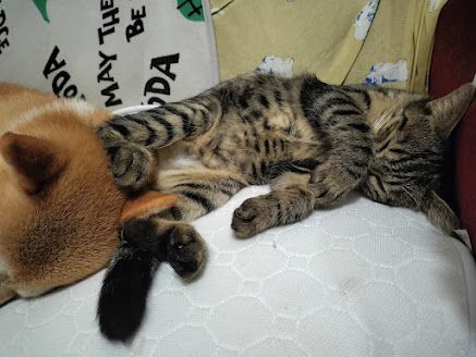 image-5