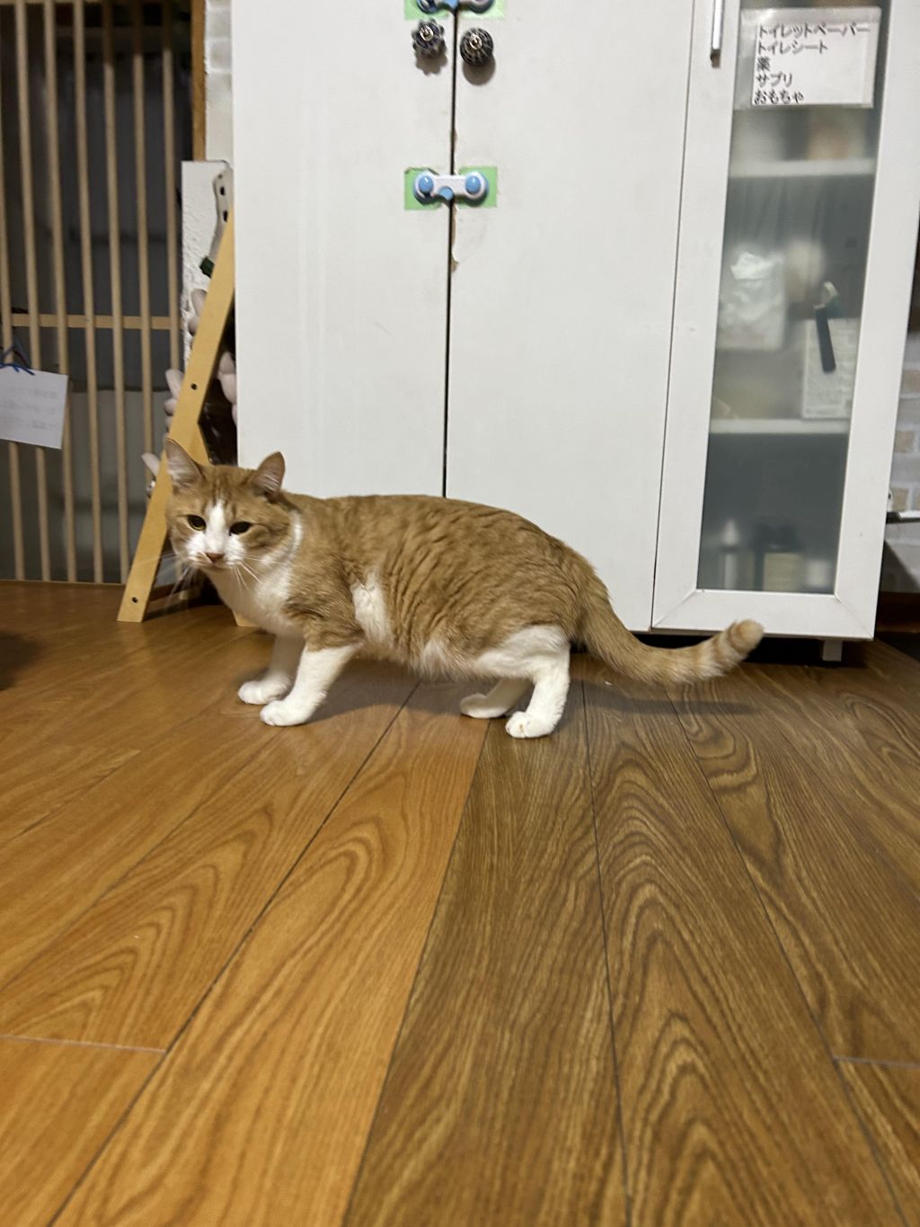 image-3