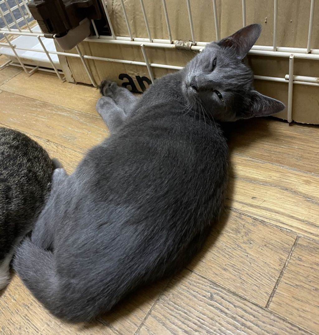 image-9