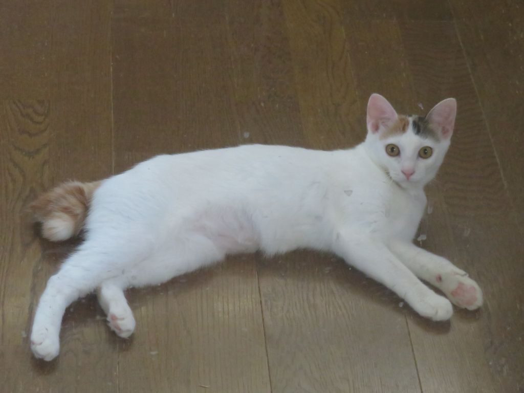 image-3