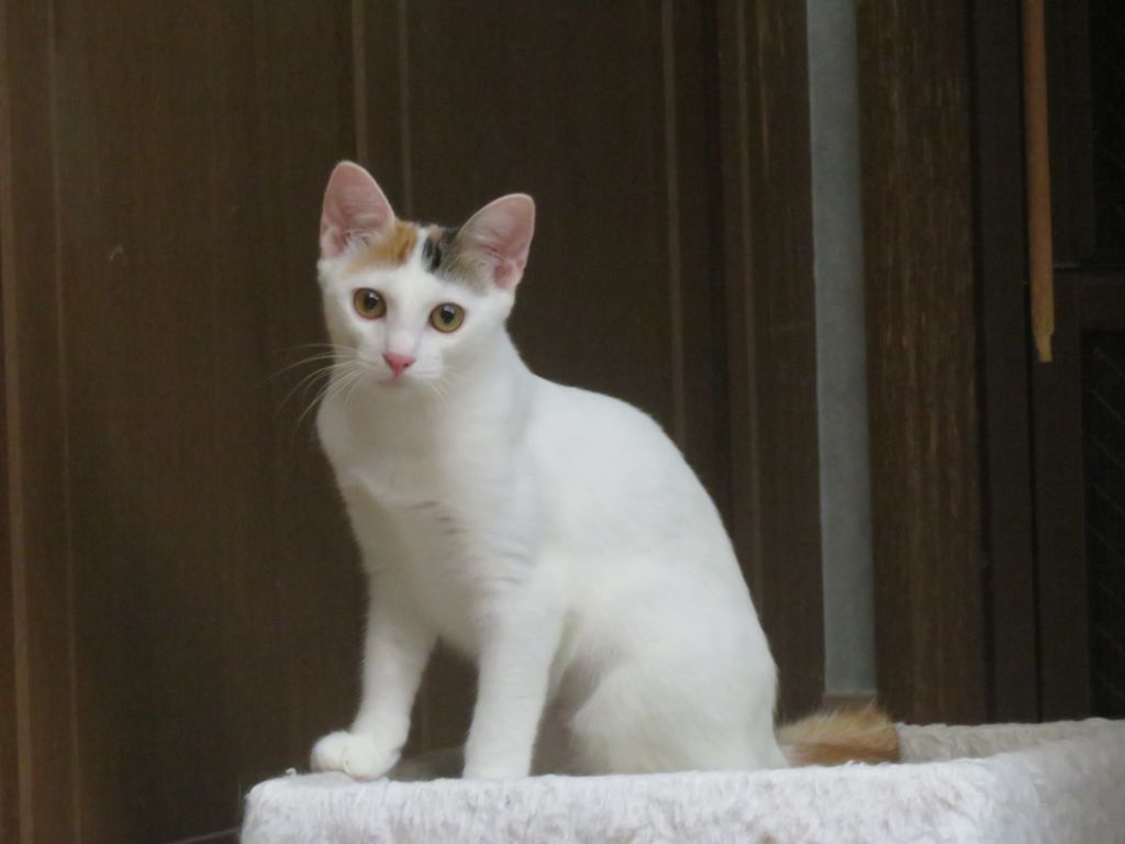 image-6