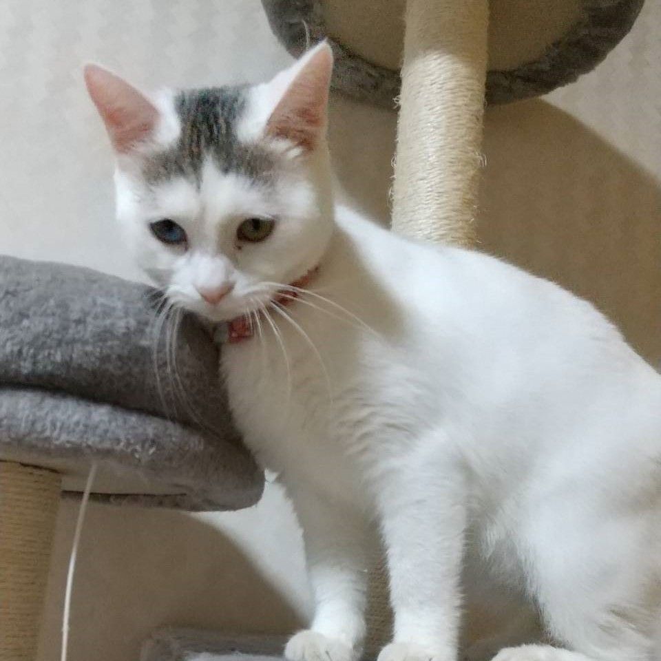 image-5