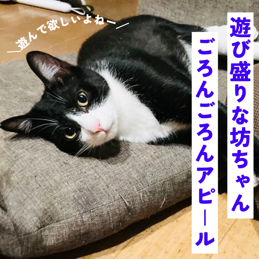 image-5