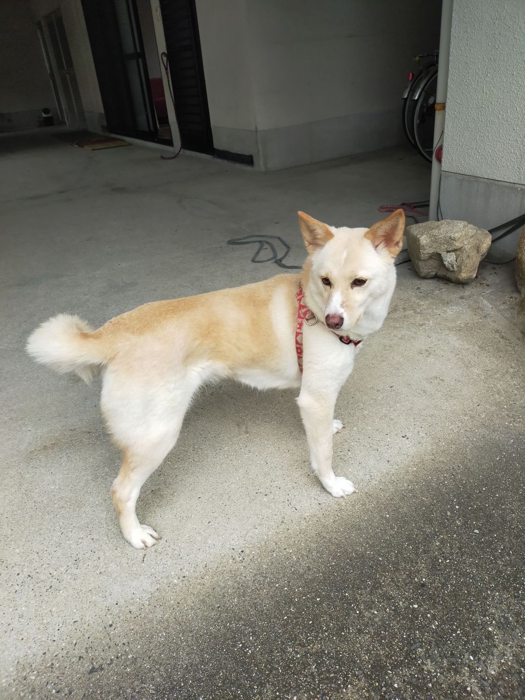 image-5