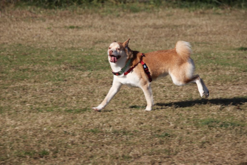 image-2