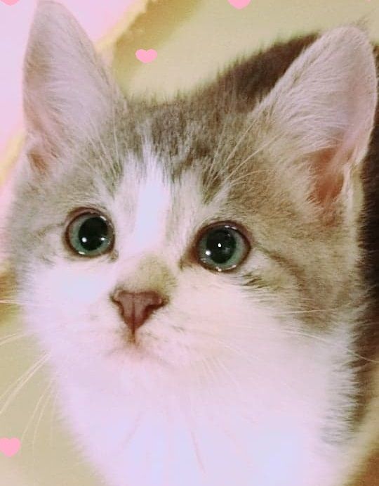 ベビちゃん