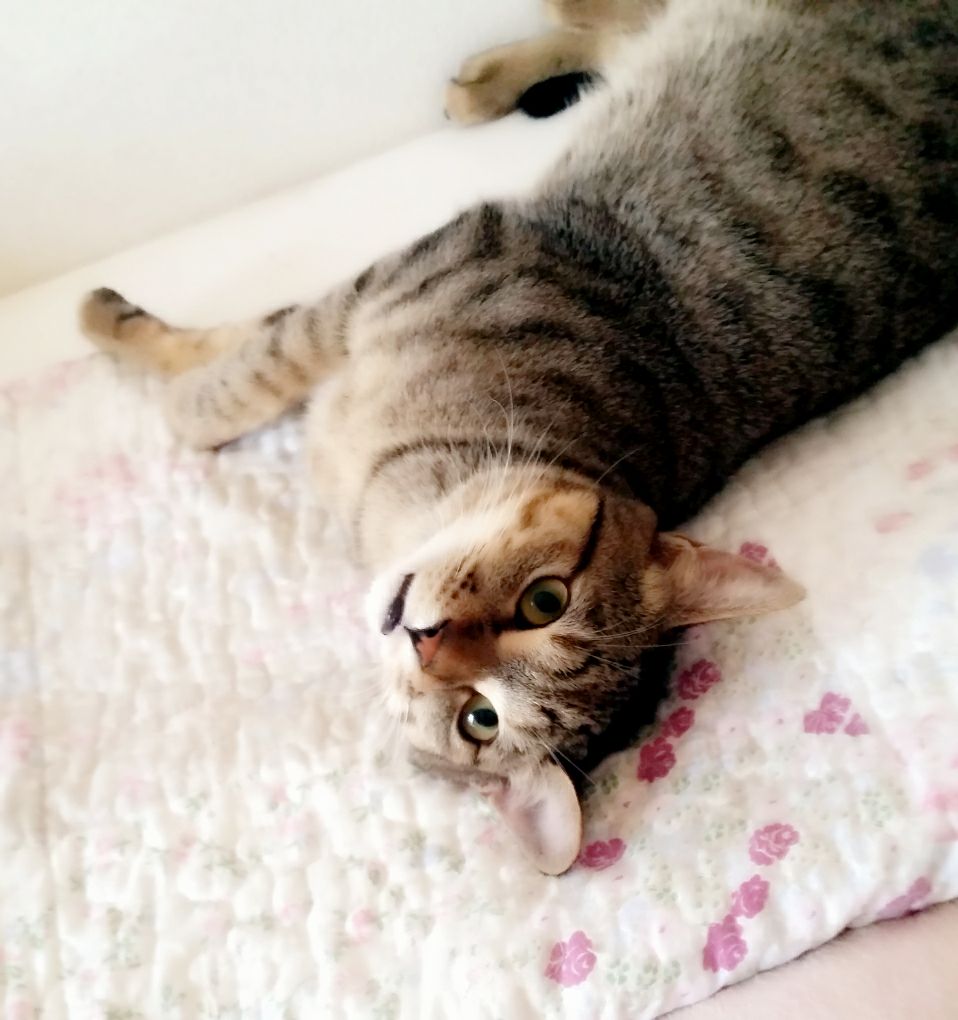 image-5