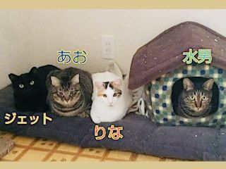 image-5