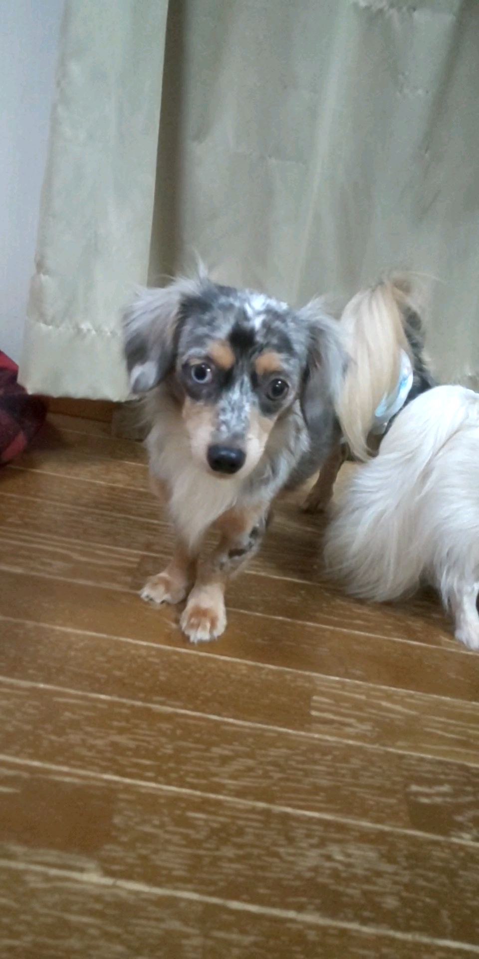 image-3