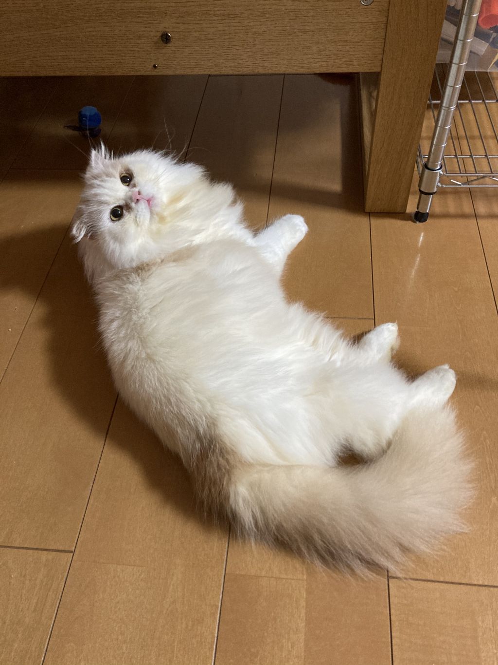 image-6