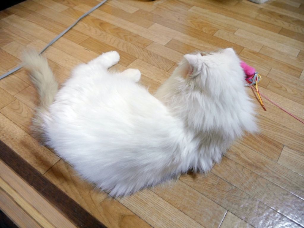 image-5