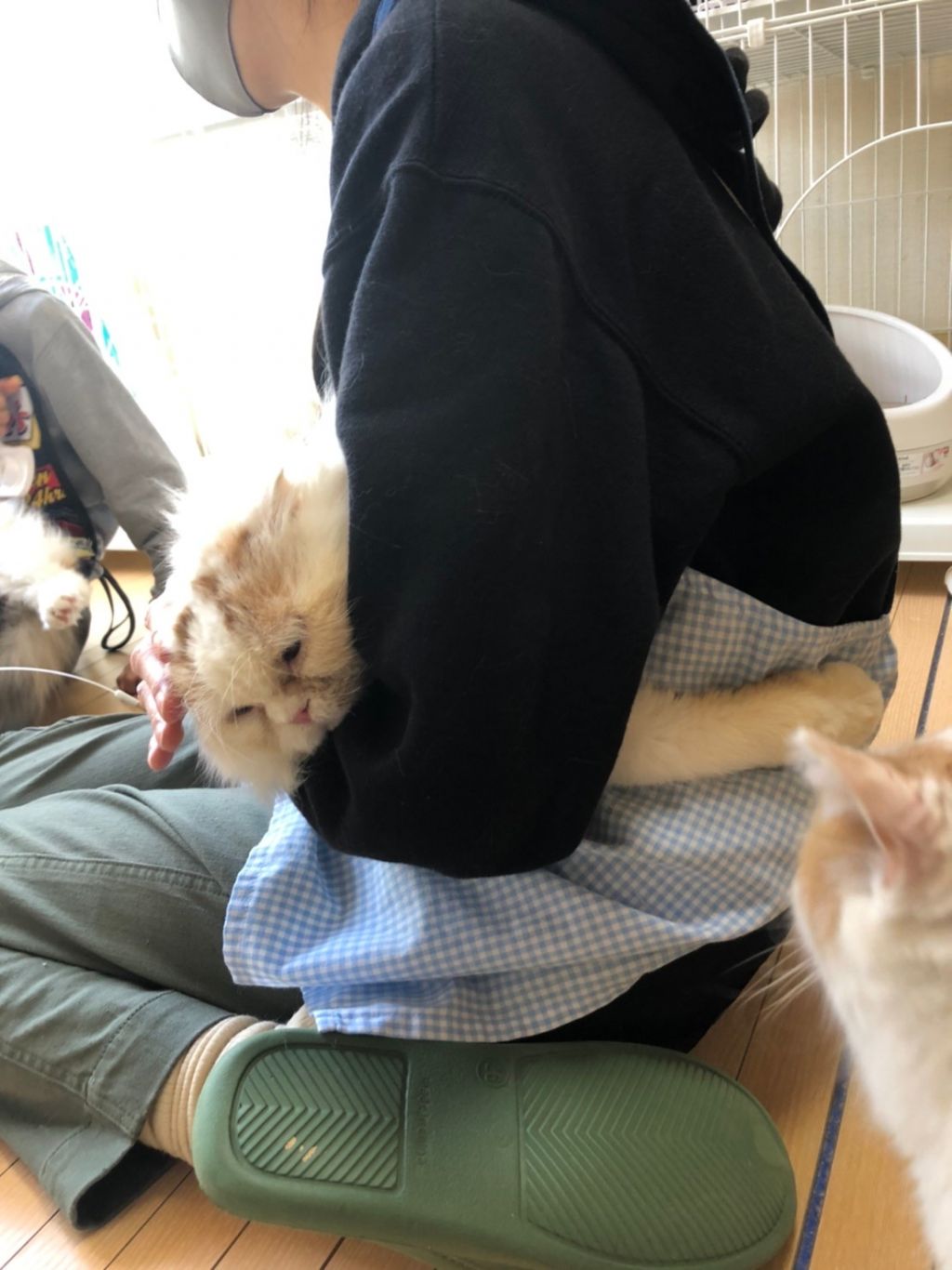 image-7