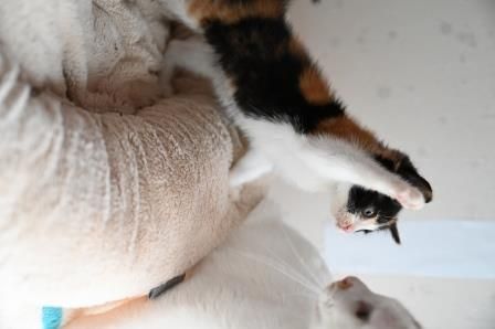 image-5