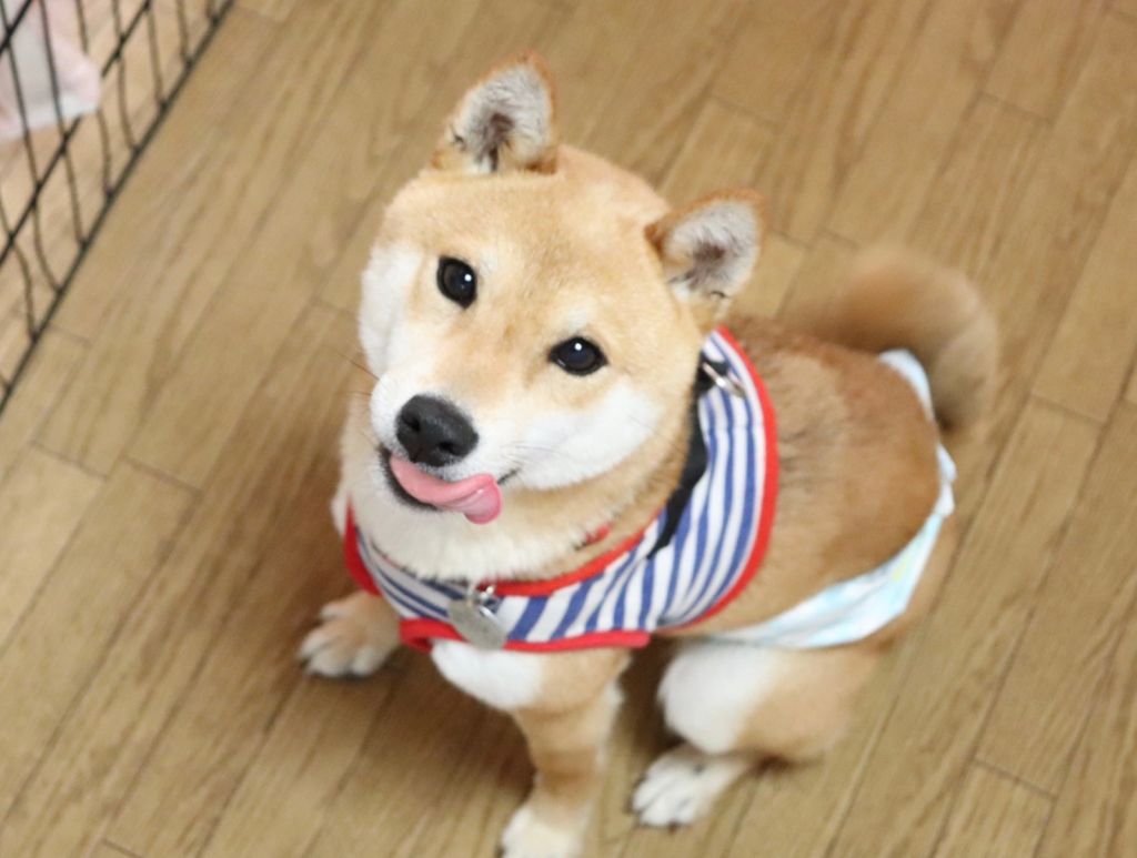 image-7