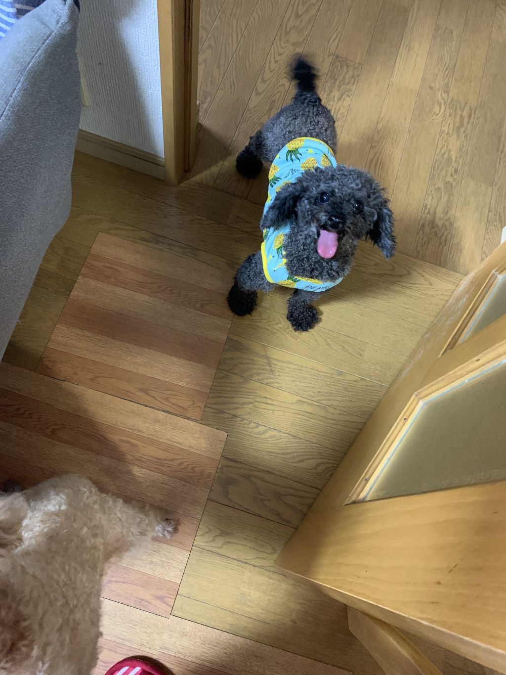 image-7